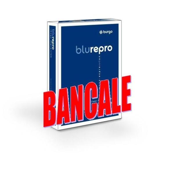 Cf120Risme Repro80 Blu A3 80G/Mq - immagine 3