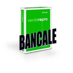 Cf120Risme Repro80 Verde A3 80G/Mq