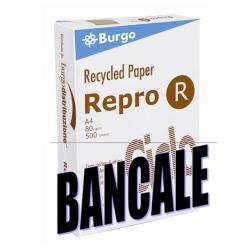 Cf120Risme Repror Ciclo A3 80G/Mq