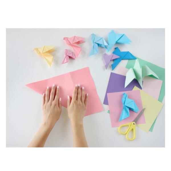 Risma Origami 80G 5 Tenui+5 Forti - immagine 2