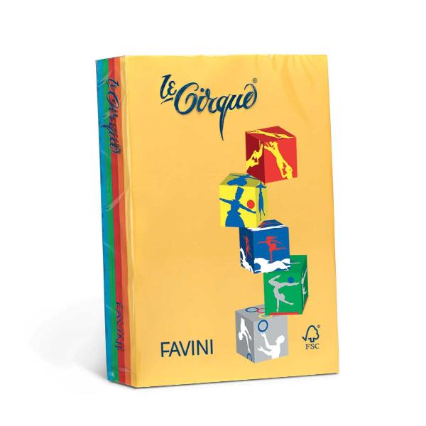 Risma Le Cirque 160G 5Fort+5Ten A4 - immagine 4