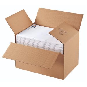 Cf20Scat.7 Americ.altez Regolabile