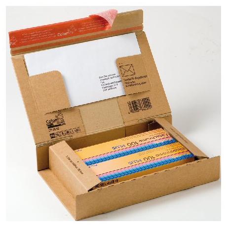 Cf20Pacchi Cartone Mm300X212X43 - immagine 4