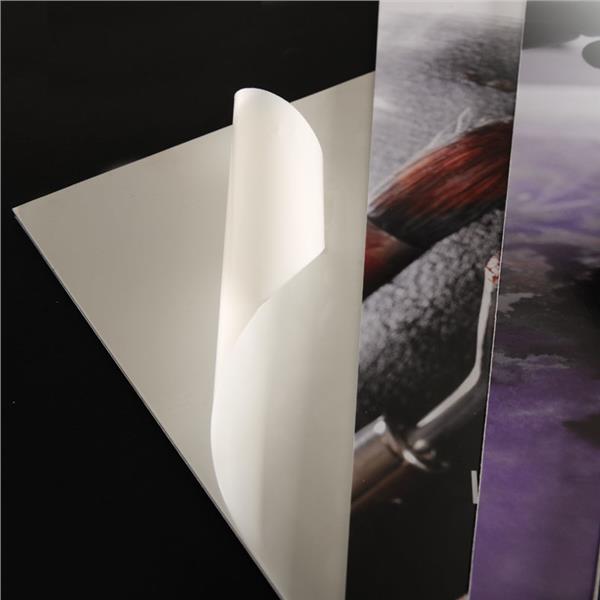 Cf24Fg.carton Plume 70X100 5Mm Bian - immagine 3