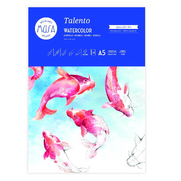 Blocchi Disegno Talento 300G