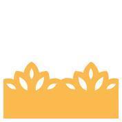 Fustella Bordo Maxi Barocco