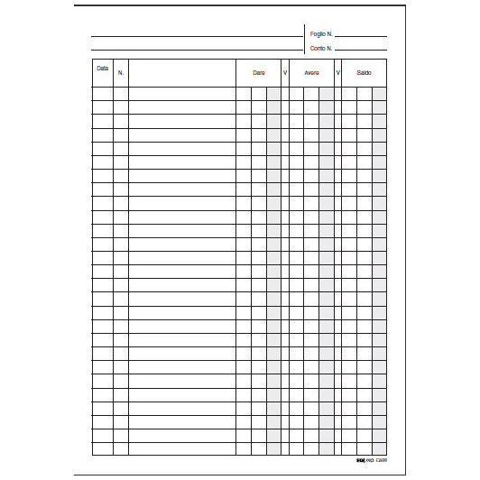 Cf10Registro Cassa Dare/Avere 24X17 - immagine 2