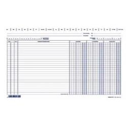 Cf100 Schede Dare/Avere/Saldo Blu