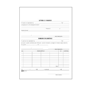 Cf100 Buste Nota Spese