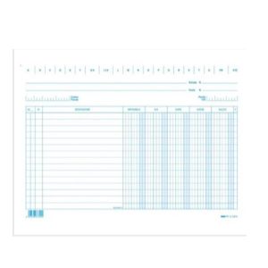 Cf100Schede Dare/Avere/Saldo Bl/Ver