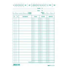 Cf100 Schede Dare/Avere/Saldo 17X12