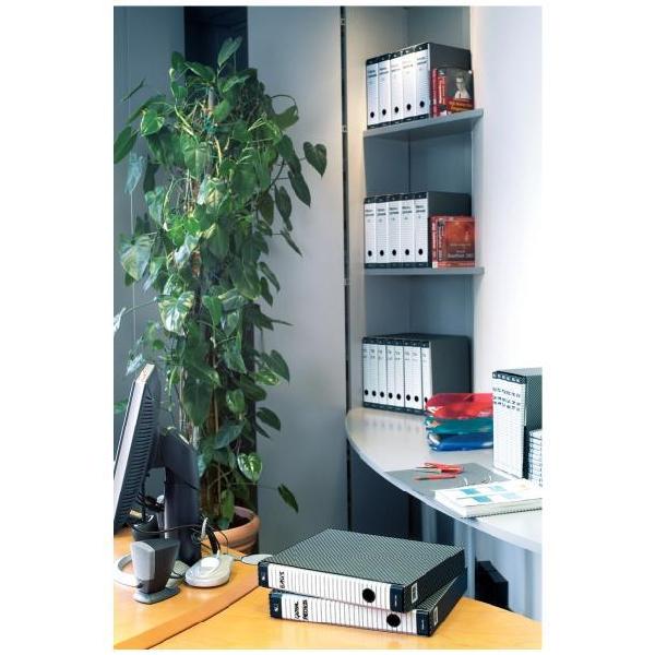 Cf6Registrat G15 Delsoline Ds8 Grigio - immagine 5