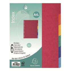 Divisori12T A4Maxi Naturefuture