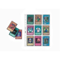 Cf10Buste Portafigurine