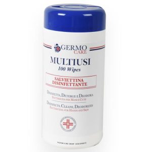 Salviettine Disinfettanti - 100