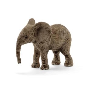 Cucciolo Di Elefante Africano