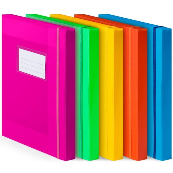 Cartella Progetto Elastico Ass - immagine 2