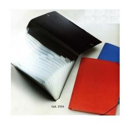 P/Documenti A4 Pp 13 Scomp.ti Nero