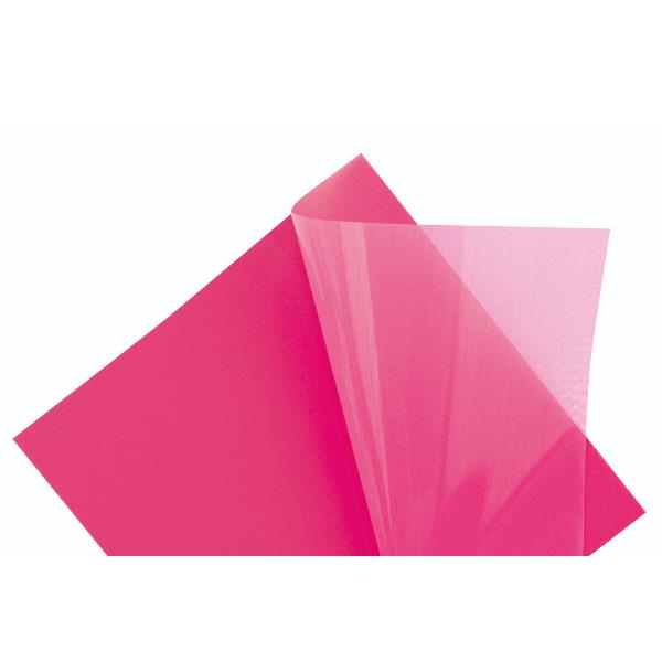 Esp72 Memostick Pet 50 Ff - immagine 4