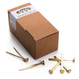 Cf100 Fermacampioni Ottonati N.12