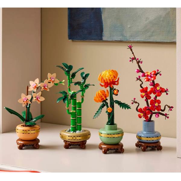 Bambù Del Buon Auspicio - immagine 3