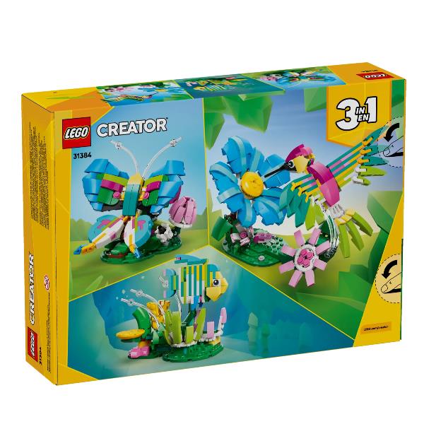 Animaliselvatici Colibrì Variopinto - immagine 4