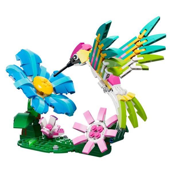 Animaliselvatici Colibrì Variopinto - immagine 2