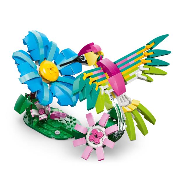 Animaliselvatici Colibrì Variopinto - immagine 3