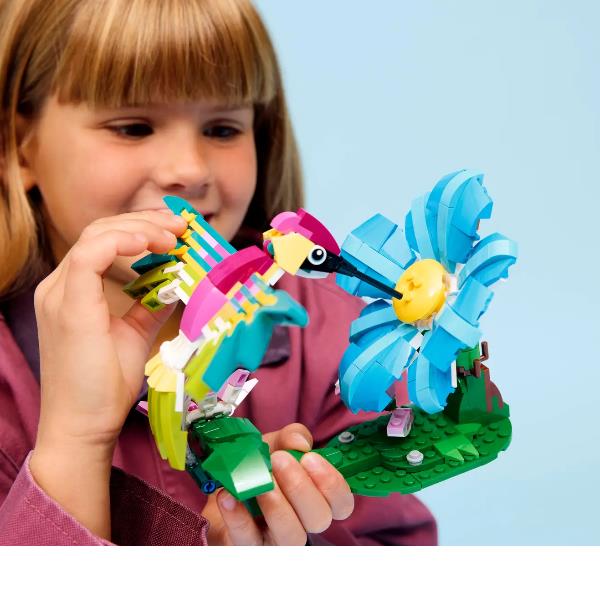 Animaliselvatici Colibrì Variopinto - immagine 6