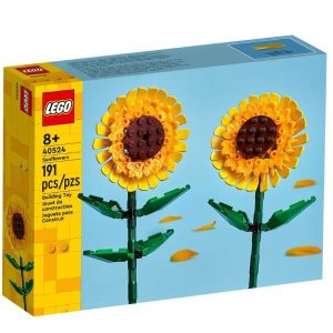 Girasoli