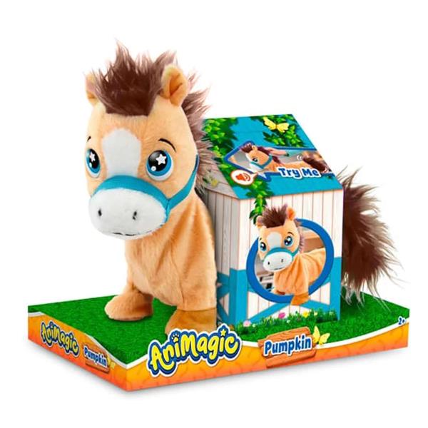 Pumpkin - The Pony - immagine 3