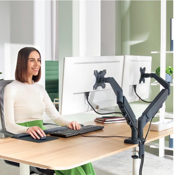 Ergo Braccio Monitor Salvasp.doppio - immagine 4