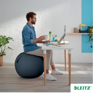 Cosy Ergo Palla Da Seduta Grigio