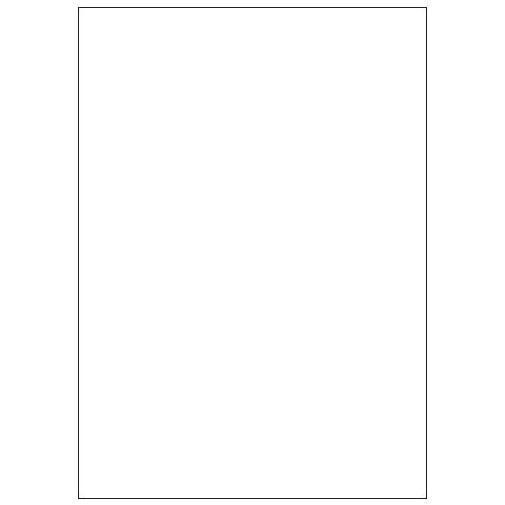 Cf100 Etichette 210X297 - immagine 2