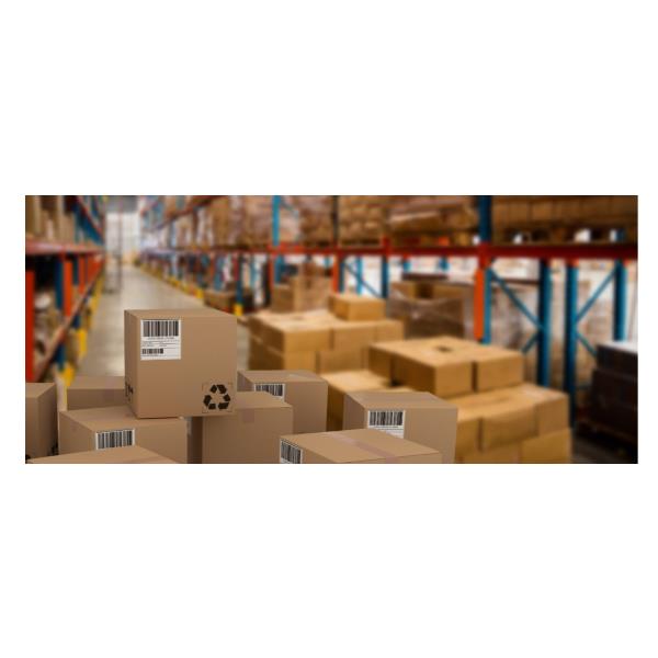 Cf10000 Etichette 37X14Mm 100Ff - immagine 4