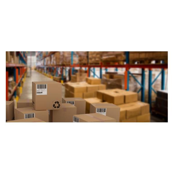 Cf6500 Etichette 38X21.2 - immagine 5