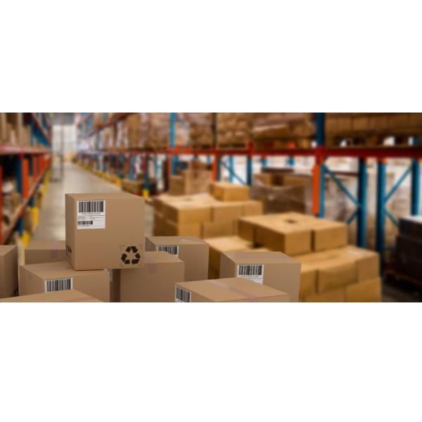 Cf3200 Etichette 47.5X35 - immagine 5