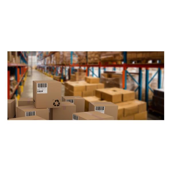 Cf4800 Etichette 52X24Mm 100Ff - immagine 4