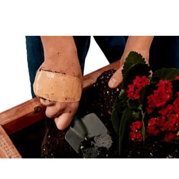 Cf30 Cerotti N1030Asd04 Assortiti - immagine 3