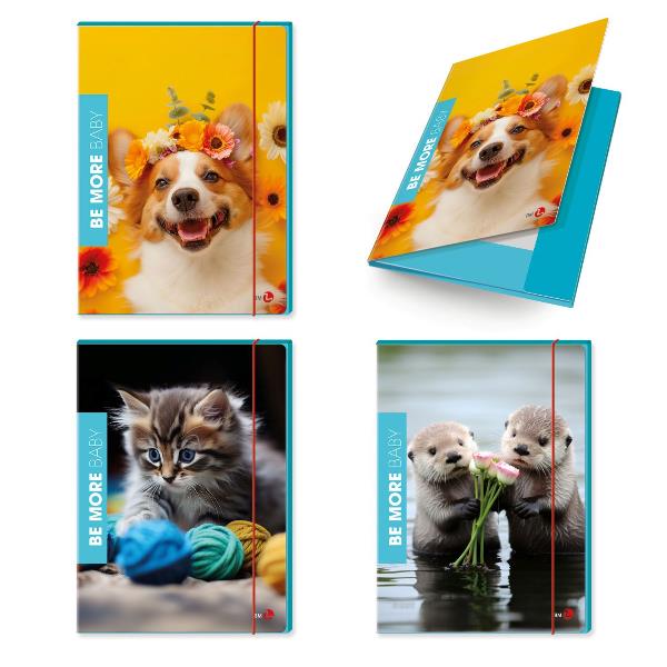 Cf6 Cartella 3 Lembi Flor Dorso 1