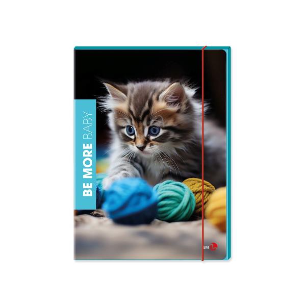 Cf6 Cartella 3 Lembi Flor Dorso 1 - immagine 5