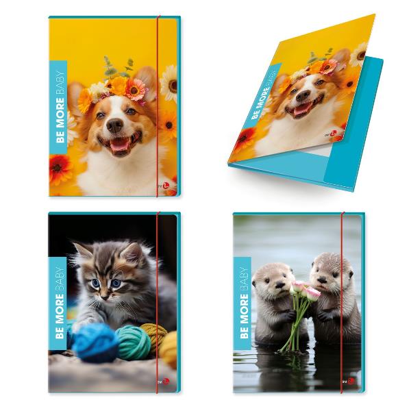 Cf6 Cartella 3 Lembi Flor Dorso 1 - immagine 2