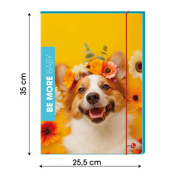 Cf6 Cartella 3 Lembi Flor Dorso 1 - immagine 3