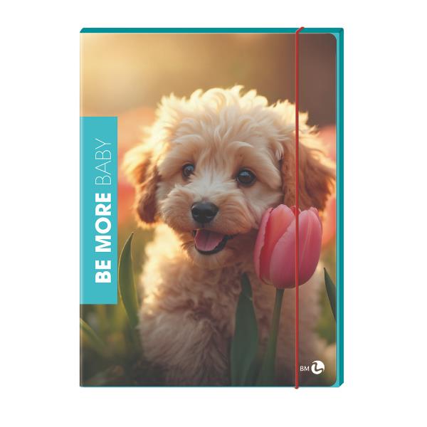 Cf6 Cartella 3 Lembi Baby Dorso 1 - immagine 4