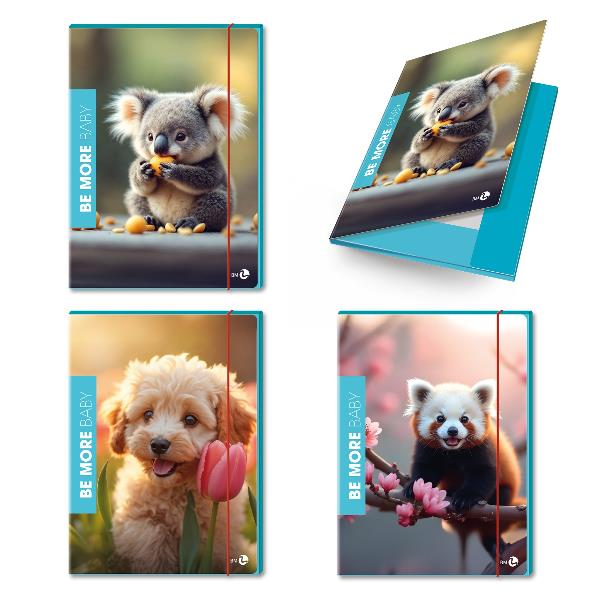 Cf6 Cartella 3 Lembi Baby Dorso 1