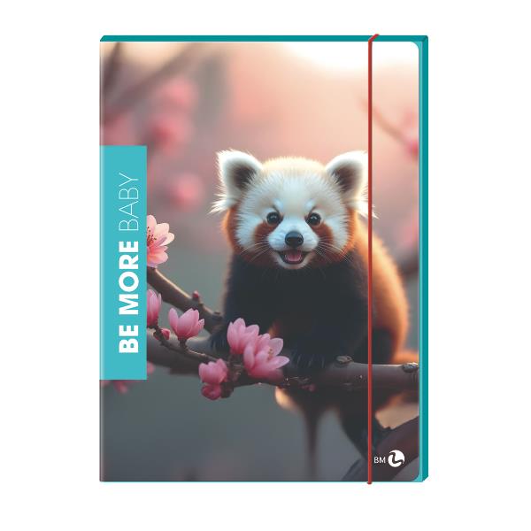 Cf6 Cartella 3 Lembi Baby Dorso 1 - immagine 3