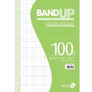 Ricambi Rinf. Bandup 100G A4 R.10Mm