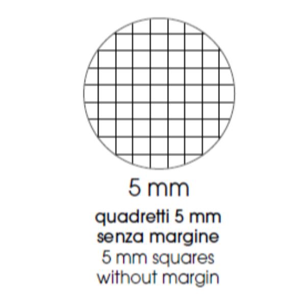 Cf12 Quadcentus A4 100G R.5Mm C.ass - immagine 2