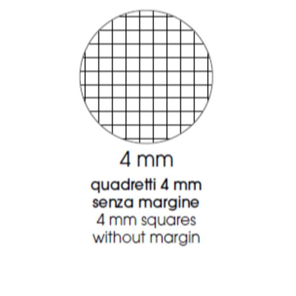 Cf12 Quadcentus A4 100G R.4Mm C.ass - immagine 2