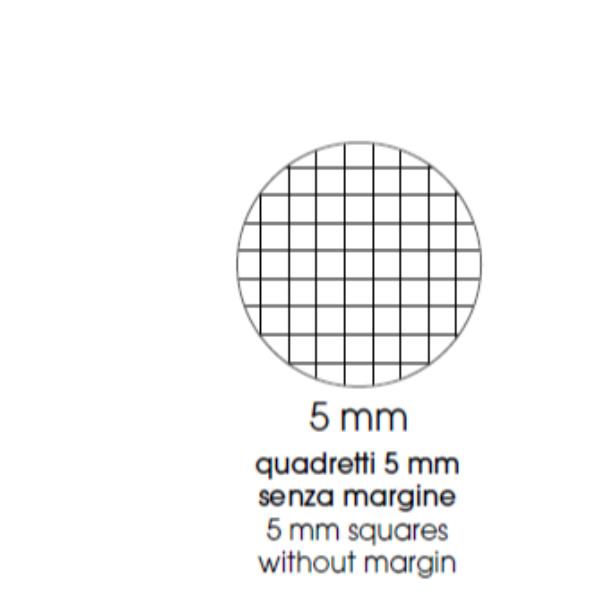 Cf10 Quad. Color Ppl A4 80Gr R.5Mm - immagine 7